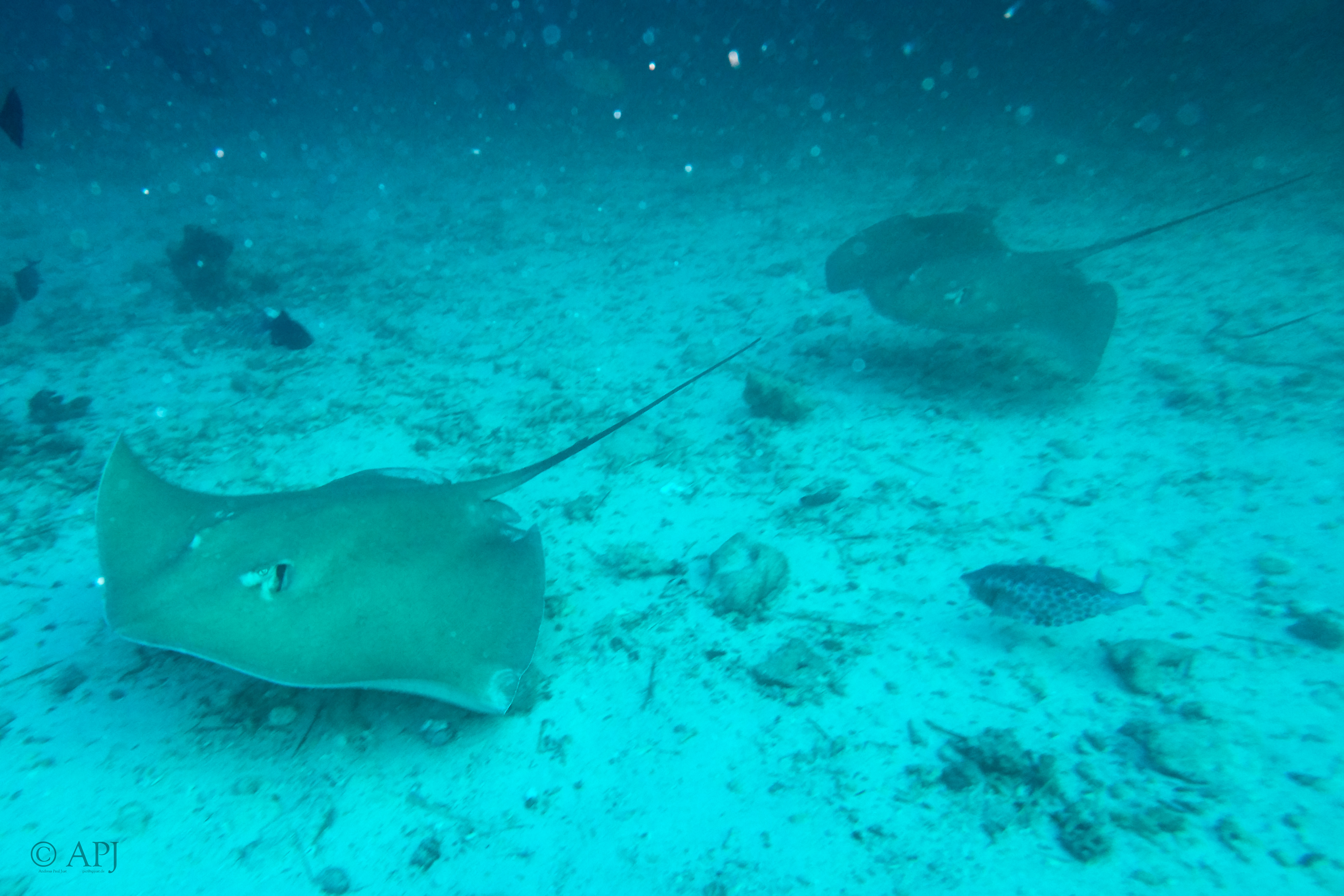 000043 13 08 17  Canon PowerShot G7 X Mark II   Malediven2017